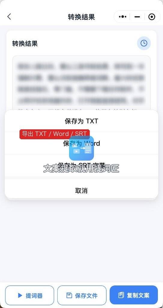 提词匠转写结果导出TXT、Word和SRT字幕的菜单